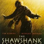 쇼생크 탈출(The Shawshank Redemption,1994): 살인 누명을 쓴 앤디가 19년 동안 희망을 잃지 않고 탈출해 자유를 되찾는 감동적인 이야기